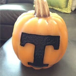 Univ of TN pumpkin